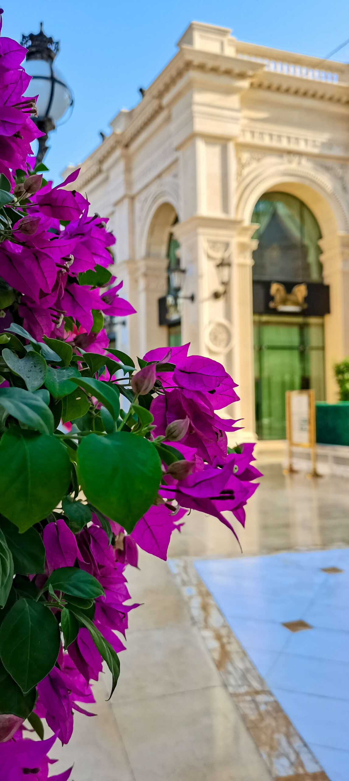 Takht-e-Jamshid elegant Persian atmosphere